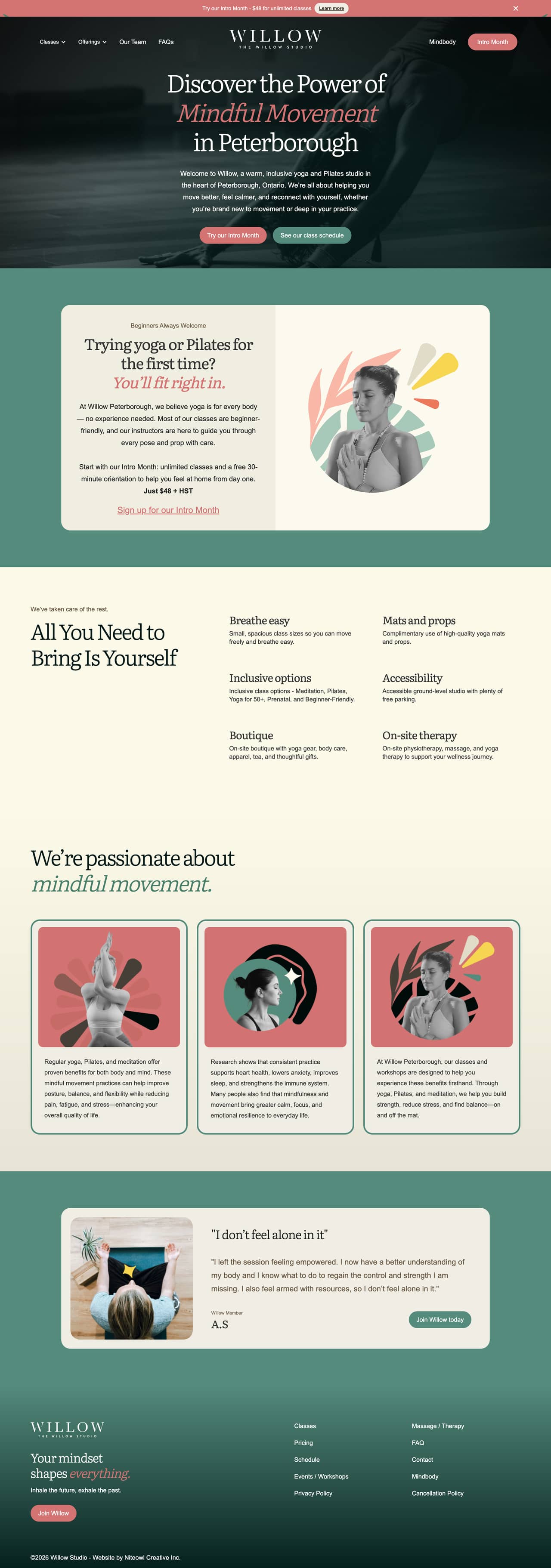 Willow Studio website screenshot